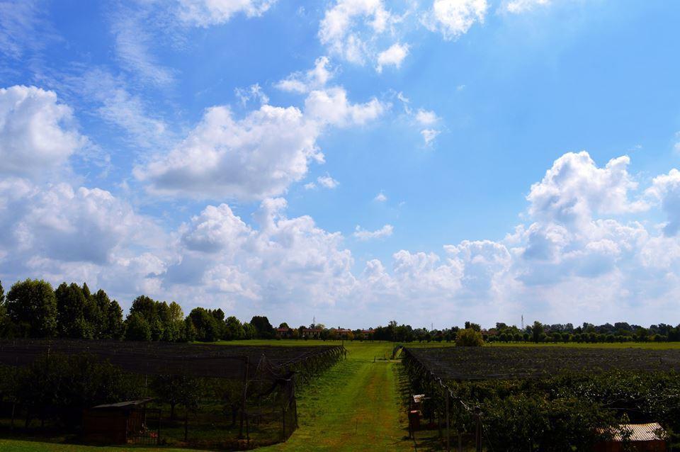 Agriturismo Sartori Terenzio Quinto Vicentino Exteriér fotografie