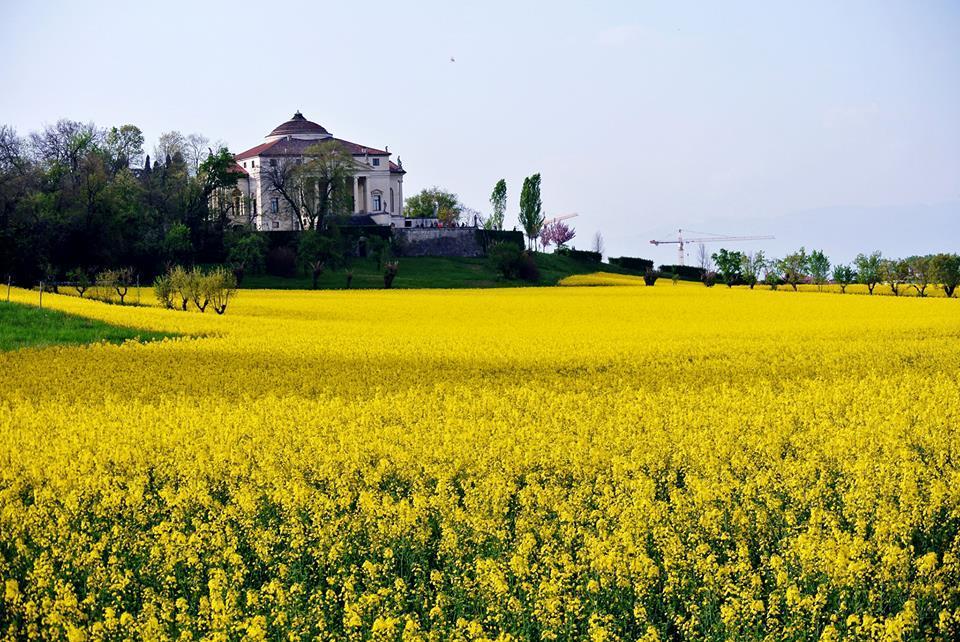 Agriturismo Sartori Terenzio Quinto Vicentino Exteriér fotografie